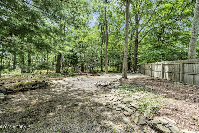 14 Copperfield Ct, Eatontown, NJ 07724 - view of yard