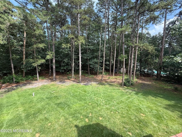 67 Erin Dr, Jackson, NJ 08527 - view of green lawn