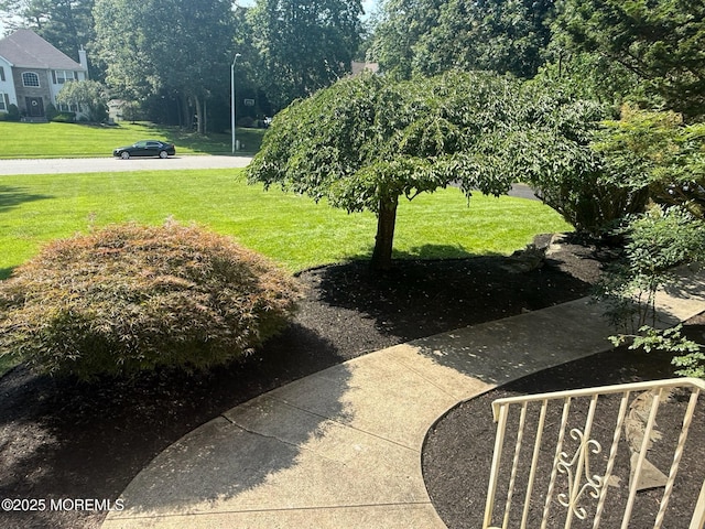 67 Erin Dr, Jackson, NJ 08527 - view of grassy yard