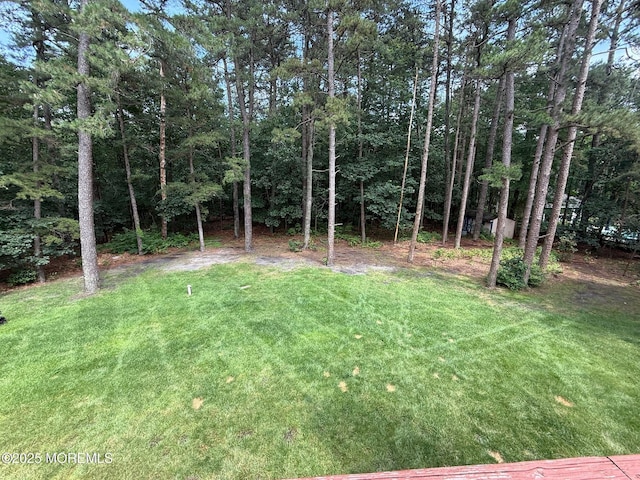 67 Erin Dr, Jackson, NJ 08527 - view of grassy yard