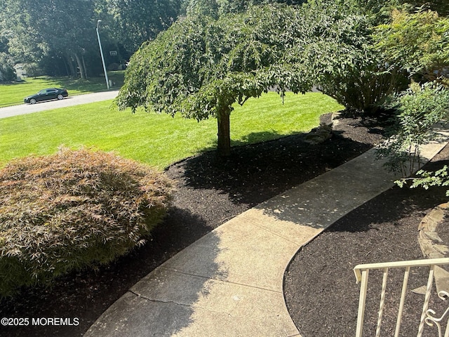 67 Erin Dr, Jackson, NJ 08527 - view of grassy yard