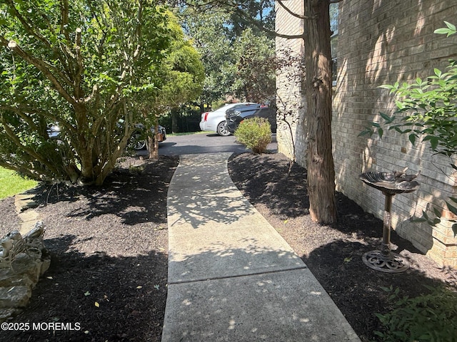 67 Erin Dr, Jackson, NJ 08527 - view of yard