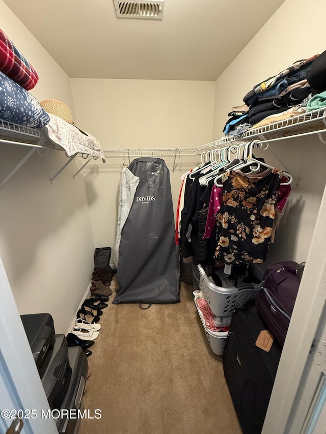 67 Erin Dr, Jackson, NJ 08527 - walk in closet with carpet floors