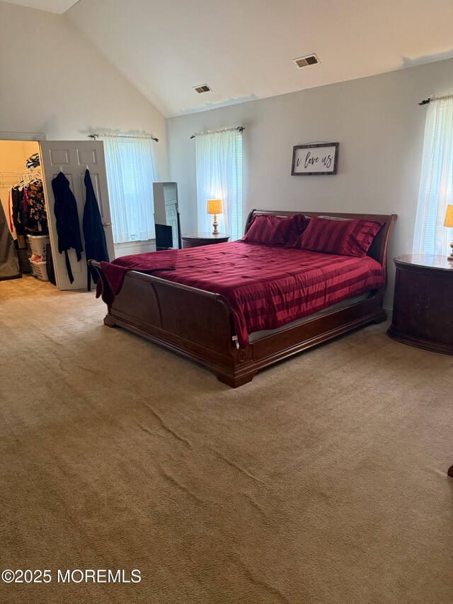 67 Erin Dr, Jackson, NJ 08527 - carpeted bedroom with a spacious closet, lofted ceiling, and a closet
