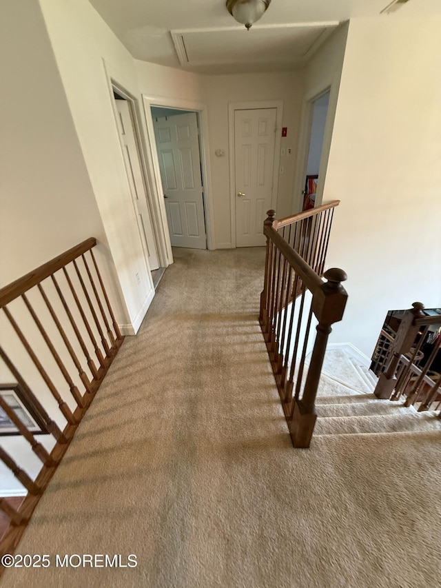 67 Erin Dr, Jackson, NJ 08527 - corridor with carpet, an upstairs landing, and attic access