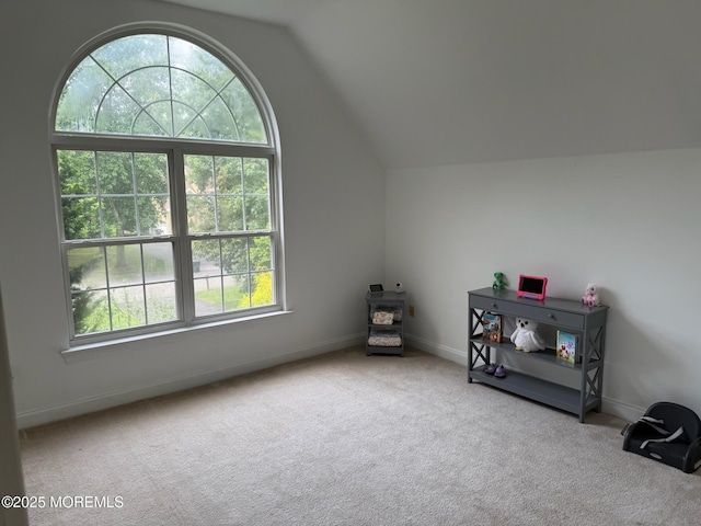67 Erin Dr, Jackson, NJ 08527 - bonus room featuring carpet and vaulted ceiling