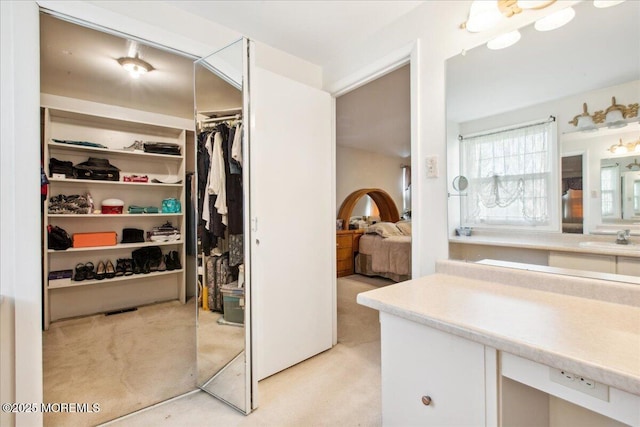 23 Clinton Dr, Manalapan, NJ 07726 - walk in closet with light colored carpet and a sink