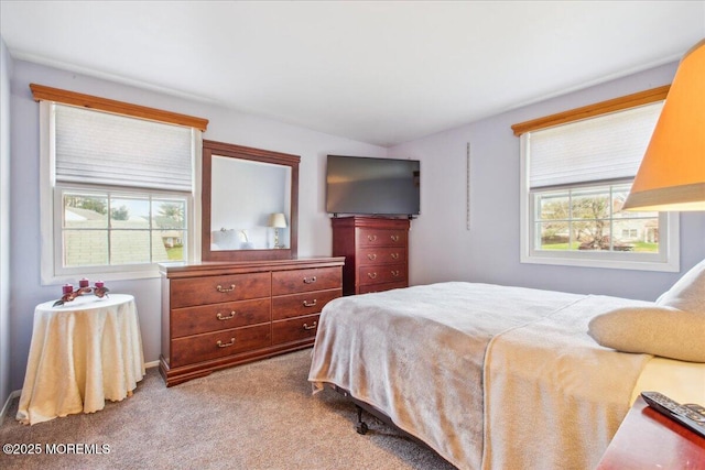 23 Clinton Dr, Manalapan, NJ 07726 - carpeted bedroom with multiple windows