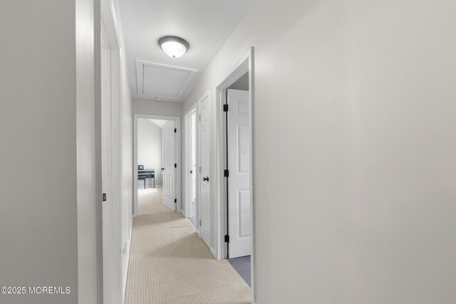 6 Kindling Way, Jackson, NJ 08527 - hallway with carpet