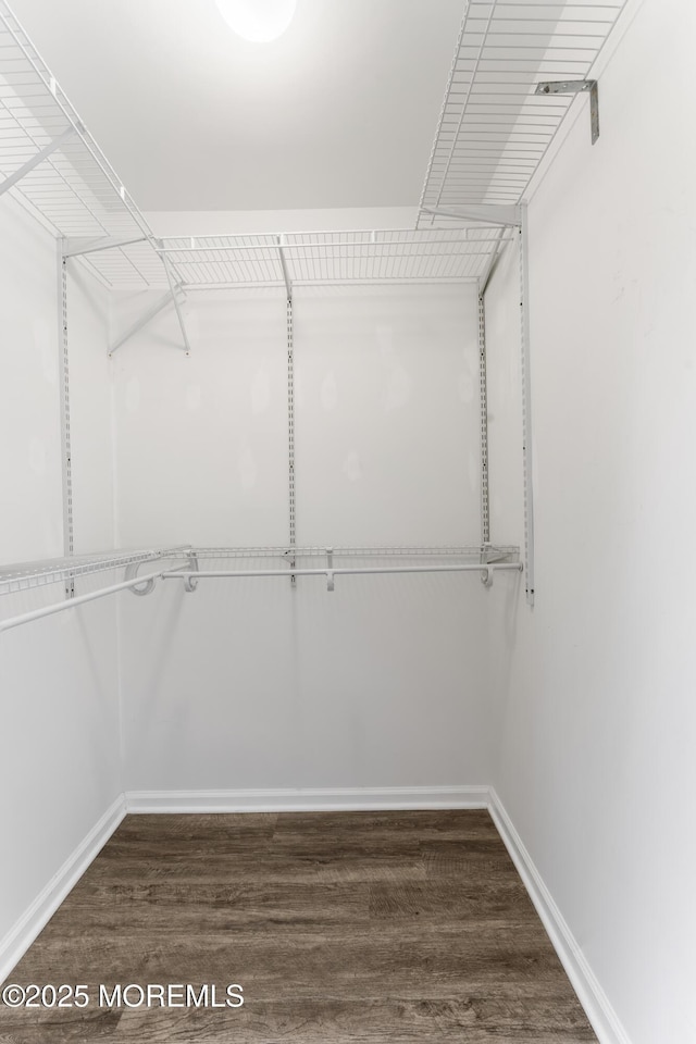 31 Strawberry Ln, Lakewood, NJ 08701 - walk in closet with dark wood-style floors
