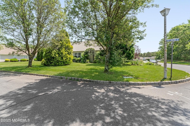 31 Strawberry Ln, Lakewood, NJ 08701 - view of property hidden behind natural elements featuring a front yard