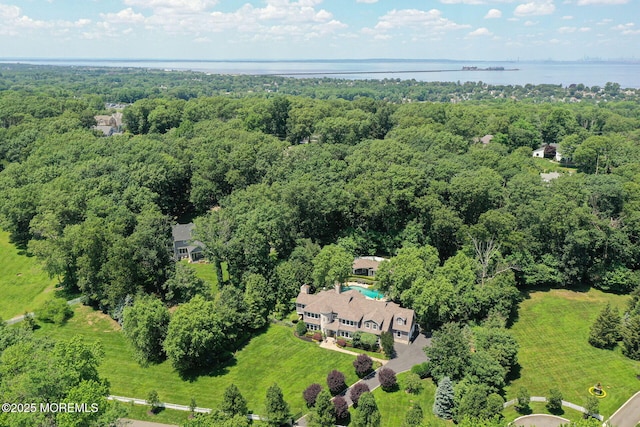 9 Withers Ln, Atlantic Highlands, NJ 07716 - view of property location featuring a large body of water and a forest