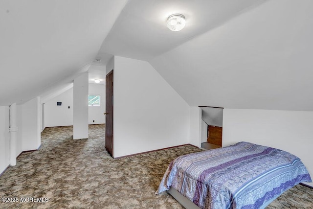99 Roosevelt Cir E, Red Bank, NJ 07701 - bedroom featuring carpet and vaulted ceiling