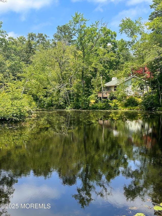 3 Orchid St, Browns Mills, NJ 08015 - photo 6