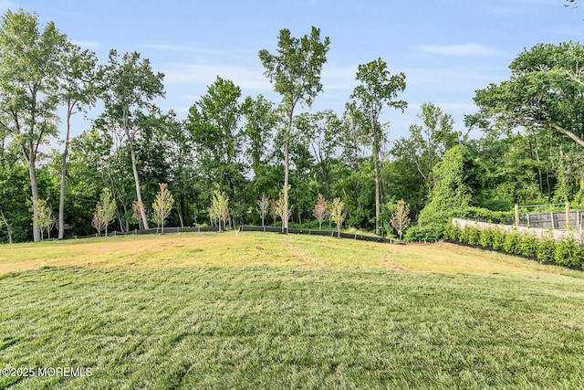 515 Atlantic Ave, Middletown, NJ 07748 - view of yard