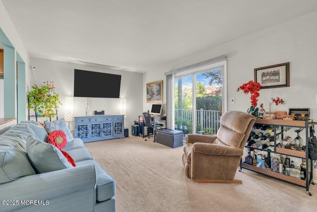 4511 Birchwood Ct, North Brunswick, NJ 08902 - view of carpeted living room