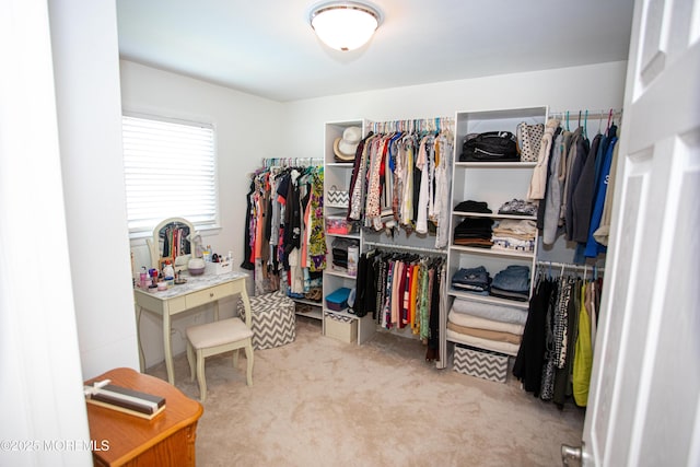 36 Cori St, Parlin, NJ 08859 - walk in closet featuring carpet flooring