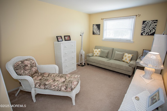 36 Cori St, Parlin, NJ 08859 - living room with carpet floors