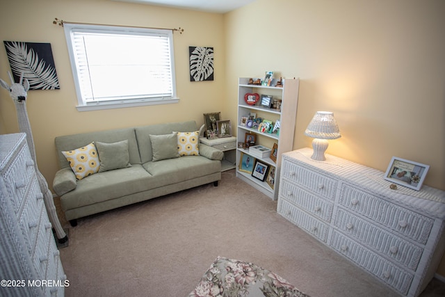 36 Cori St, Parlin, NJ 08859 - living room with carpet flooring