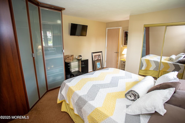 36 Cori St, Parlin, NJ 08859 - bedroom featuring carpet floors and a closet