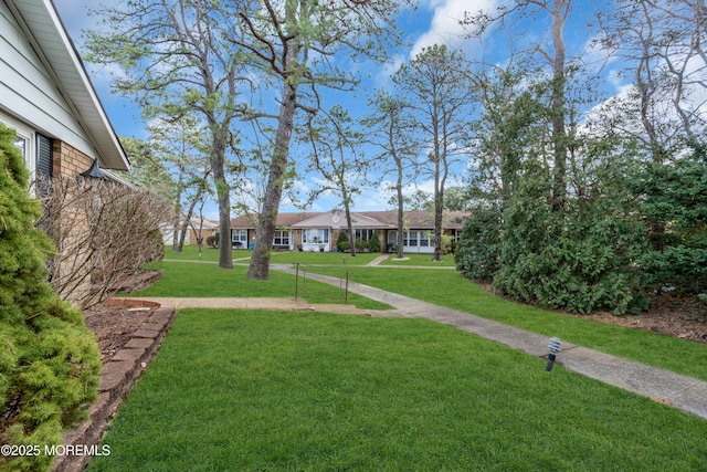 66B Buckingham Dr, Manchester, NJ 08759 - view of green lawn