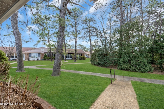 66B Buckingham Dr, Manchester, NJ 08759 - view of green lawn
