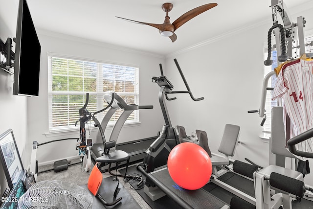 283 Daniele Dr Unit 1006, Ocean Twp, NJ 07712 - photo 37