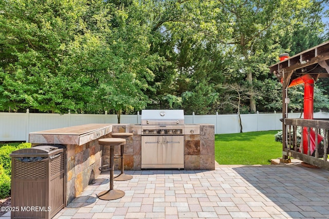 26 N Boston Rd, Jackson, NJ 08527 - view of patio featuring exterior kitchen