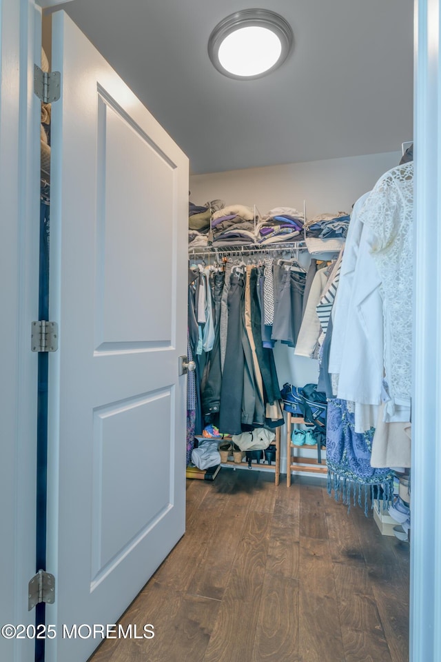 26 9th Ave Unit 105, Ortley Beach, NJ 08751 - walk in closet with wood finished floors