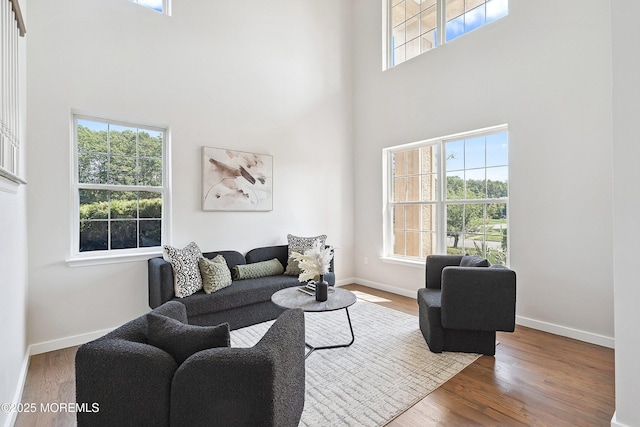 2 Muirwood Ct, Jackson, NJ 08527 - living room with a high ceiling and wood finished floors