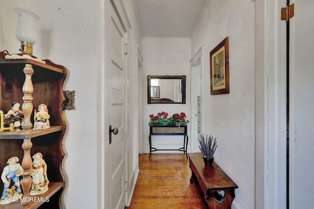 18 Holly St, Rumson, NJ 07760 - corridor with light wood finished floors and crown molding