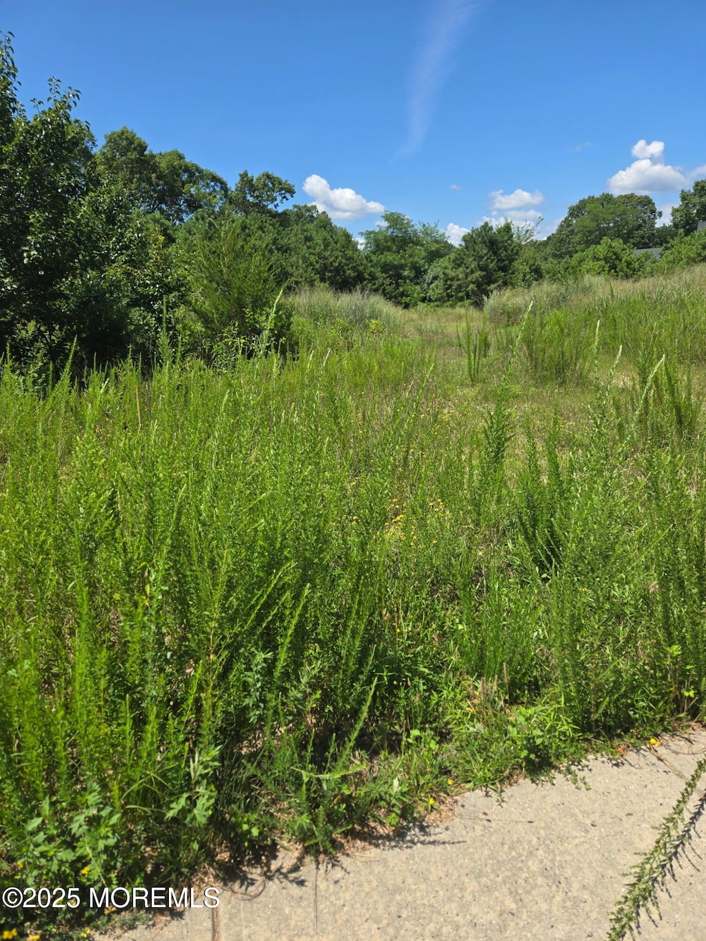 159 Littleworth Rd, Manahawkin, NJ 08050 - photo 1