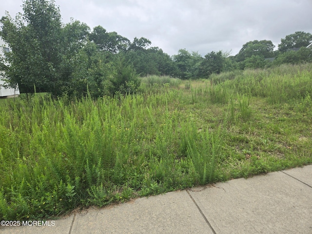 155 Littleworth Rd, Manahawkin, NJ 08050 - photo 1