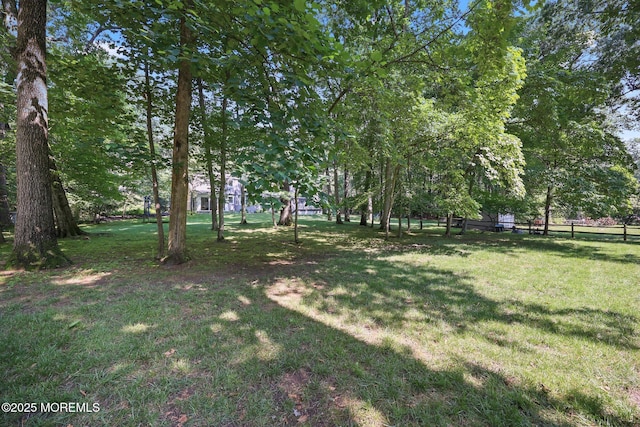 38 Pine St, Lincroft, NJ 07738 - view of yard