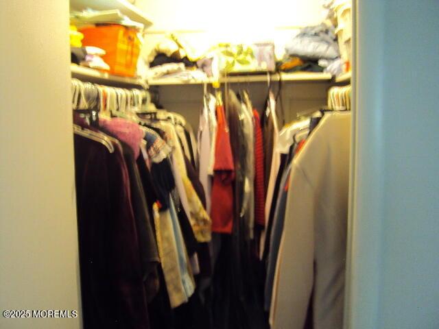 6 Hardy Ct, Brick, NJ 08724 - view of spacious closet