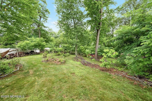 6 Opatut Ct, Morganville, NJ 07751 - view of green lawn
