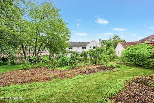 6 Opatut Ct, Morganville, NJ 07751 - view of green lawn