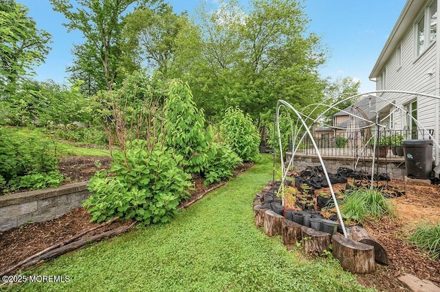 6 Opatut Ct, Morganville, NJ 07751 - view of green lawn