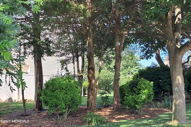 5 Maplecrest Ct, Toms River, NJ 08753 - photo 29