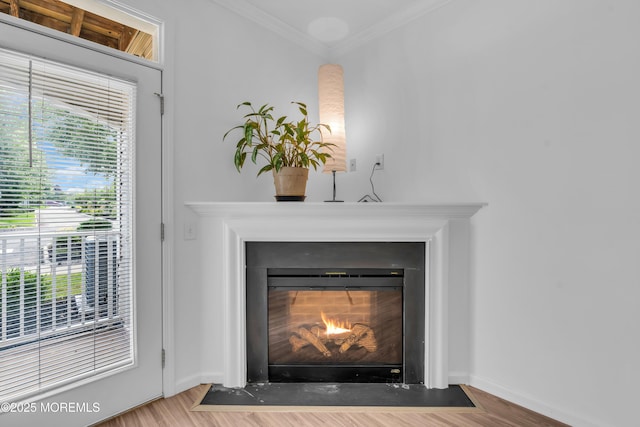 215 Sloan Ct, Matawan, NJ 07747 - detailed view of a fireplace with flush hearth, ornamental molding, and wood finished floors