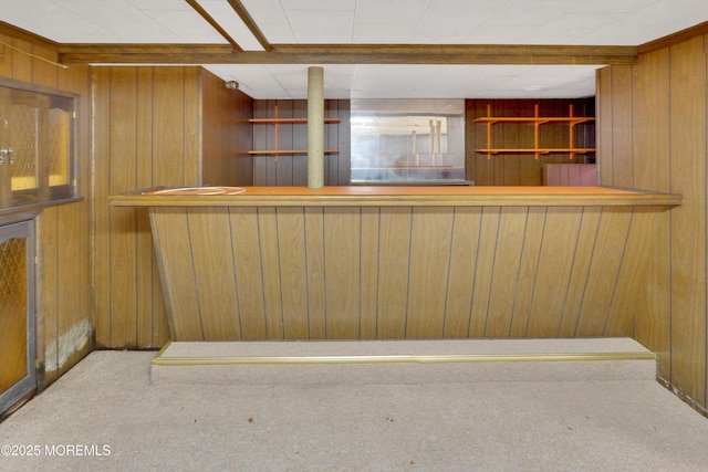 7 Tabor St, Little Silver, NJ 07739 - indoor wet bar featuring wooden walls and carpet