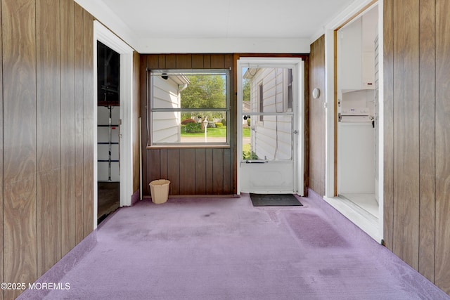 7 Tabor St, Little Silver, NJ 07739 - doorway to outside with carpet and wooden walls
