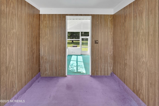7 Tabor St, Little Silver, NJ 07739 - unfurnished room featuring wood walls and carpet