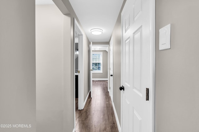 8 Blueberry Path, Howell, NJ 07731 - hall featuring dark wood-type flooring and baseboards