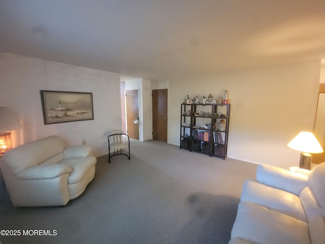 5B Lenape Dr, Whiting, NJ 08759 - living room with carpet