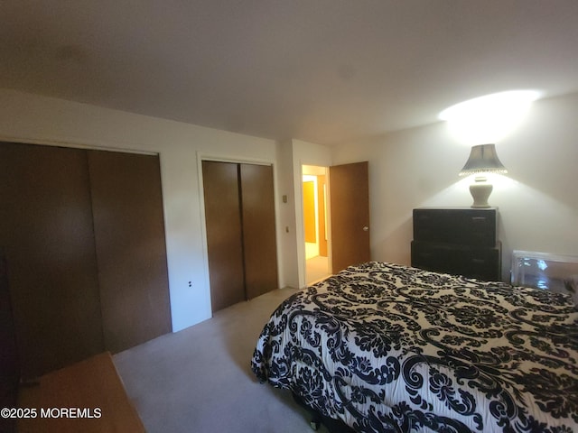 5B Lenape Dr, Whiting, NJ 08759 - bedroom featuring multiple closets and carpet floors