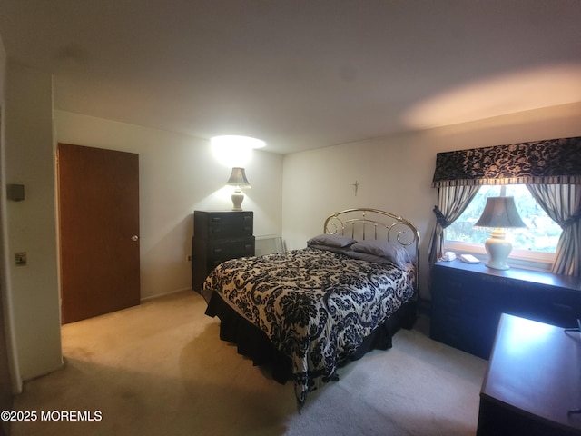 5B Lenape Dr, Whiting, NJ 08759 - bedroom featuring light carpet