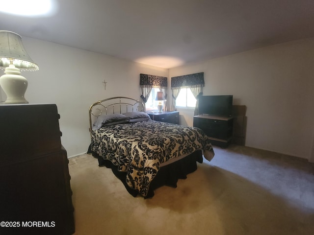 5B Lenape Dr, Whiting, NJ 08759 - bedroom with carpet floors