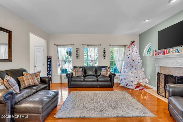 1 Opal Ct, Jackson, NJ 08527 - living room featuring a premium fireplace, wood finished floors, and recessed lighting