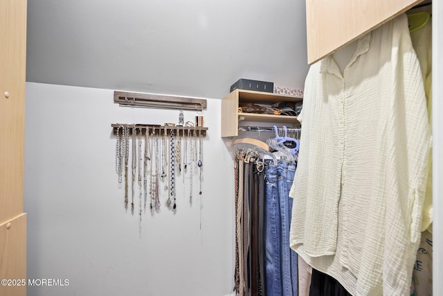 2 Independence Dr, Aberdeen, NJ 07747 - view of walk in closet